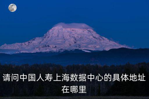 請問中國人壽上海數(shù)據(jù)中心的具體地址在哪里
