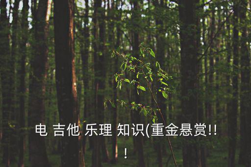 電 吉他 樂(lè)理 知識(shí)(重金懸賞!!!