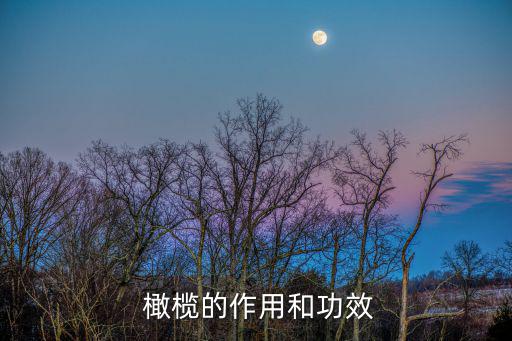 橄欖科,橄欖可生吃可加工橄欖仁可入藥