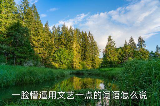 一臉懵逼用文藝一點的詞語怎么說