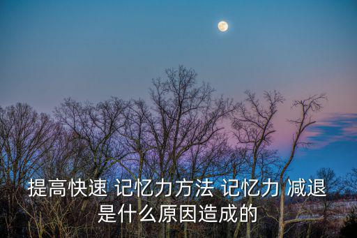 提高快速 記憶力方法 記憶力 減退是什么原因造成的