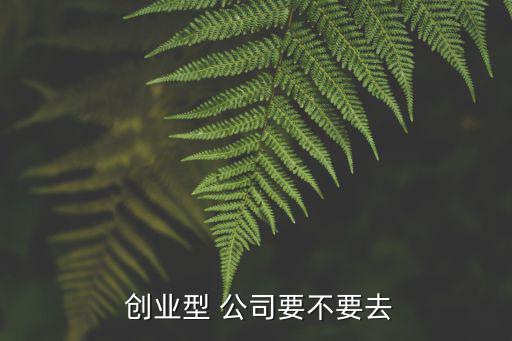 創業型公司,創業公司最大的缺點是不正規和資金不足