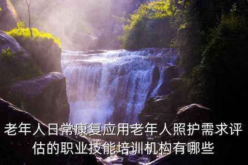 重慶市老人護理培訓，老年人日?？祻蛻美夏耆苏兆o需求評估的職業技能培訓機構有哪些