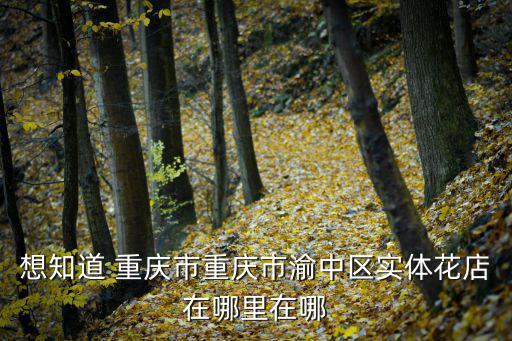 想知道 重慶市重慶市渝中區實體花店在哪里在哪