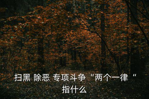  掃黑 除惡 專項(xiàng)斗爭(zhēng)“兩個(gè)一律“指什么