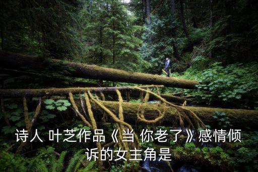 詩人 葉芝作品《當(dāng) 你老了》感情傾訴的女主角是