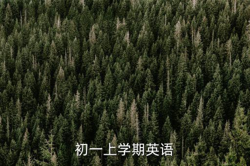 初一上學期英語，初一上學期英語