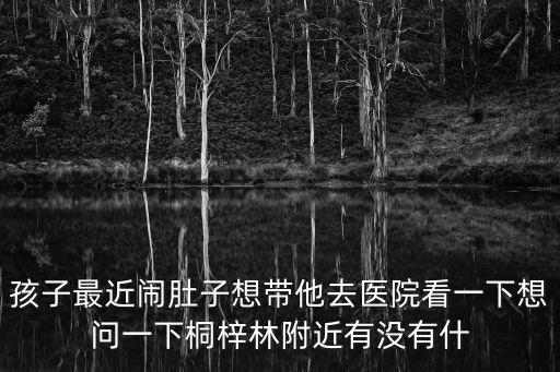 孩子最近鬧肚子想帶他去醫院看一下想問一下桐梓林附近有沒有什