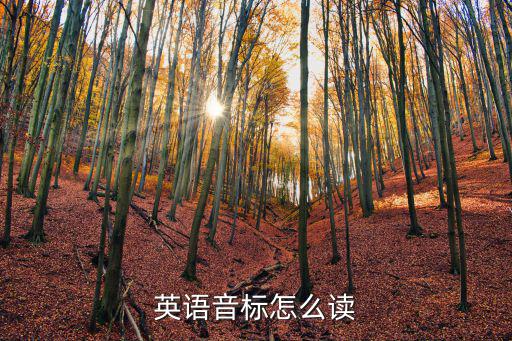 英語音標(biāo)怎么讀