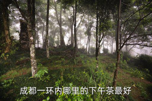 成都一環內哪里的下午茶最好