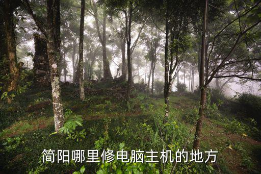 成都市簡陽鎮家電維修售后，創維電視駐簡陽售后服務部