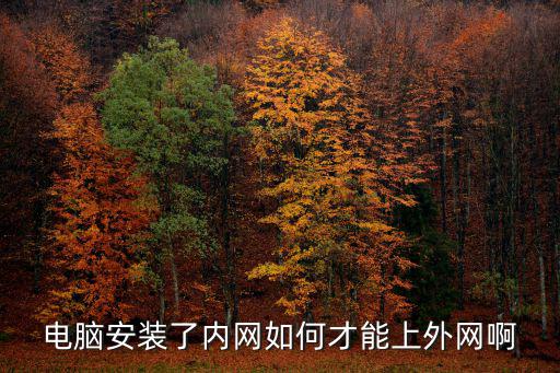 電腦安裝了內(nèi)網(wǎng)如何才能上外網(wǎng)啊