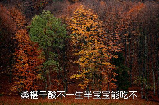 桑椹干酸不一生半寶寶能吃不