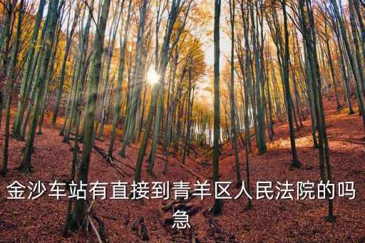 金沙車站有直接到青羊區人民法院的嗎急