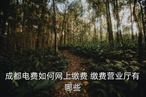成都電費如何網上繳費 繳費營業廳有哪些