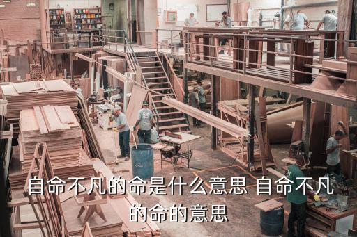 自命不凡什么意思,自稱不凡的簡單解釋:這個是什么意思?
