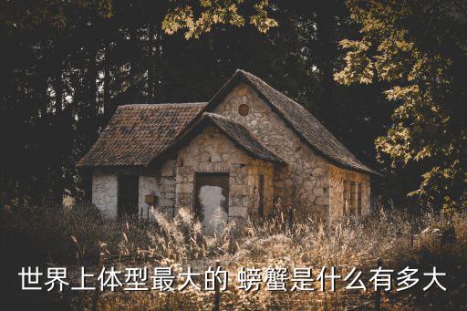 世界上體型最大的 螃蟹是什么有多大