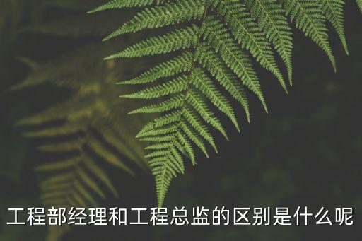 工程部經理和工程總監的區別是什么呢