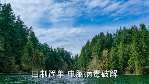 自制簡單 電腦病毒破解