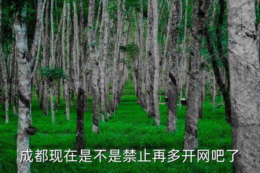 成都現在是不是禁止再多開網吧了