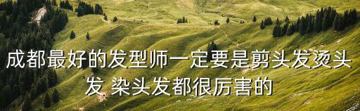 成都最好的發(fā)型師一定要是剪頭發(fā)燙頭發(fā) 染頭發(fā)都很厲害的