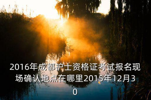 2016年成都護士資格證考試報名現場確認地點在哪里2015年12月30