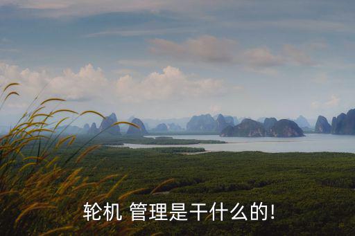  輪機 管理是干什么的!