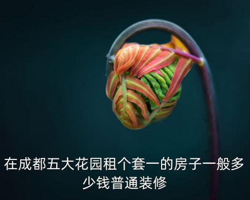 在成都五大花園租個(gè)套一的房子一般多少錢普通裝修