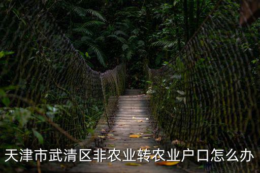 天津市武清轉業安置，天津市武清區非農業轉農業戶口怎么辦