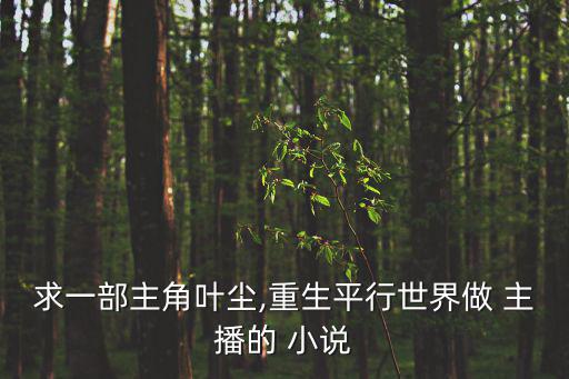 求一部主角葉塵,重生平行世界做 主播的 小說