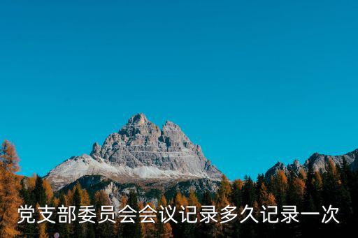 支部委員會(huì)會(huì)議，黨支部委員會(huì)會(huì)議記錄內(nèi)容