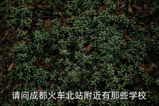 請(qǐng)問(wèn)成都火車北站附近有那些學(xué)校