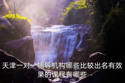 天津市輔導(dǎo)班課程安排，天津一對一輔導(dǎo)機構(gòu)哪些比較出名有效果的課程有哪些