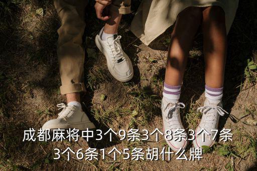 成都麻將中3個9條3個8條3個7條3個6條1個5條胡什么牌
