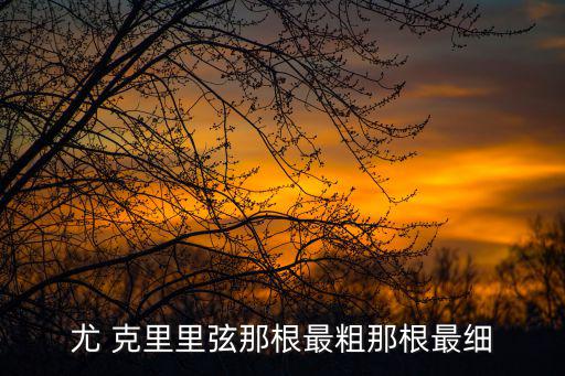 尤 克里里弦那根最粗那根最細