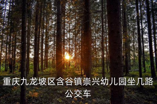 重慶九龍坡區含谷鎮崇興幼兒園坐幾路公交車