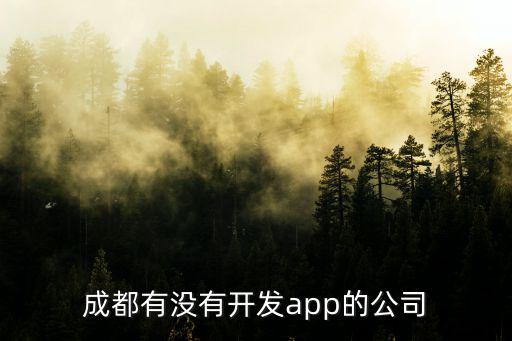 成都市矢志一方網絡科技有限公司，成都有沒有開發app的公司
