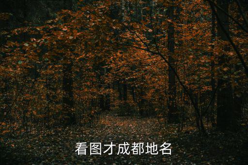 成都市蓉城區圖片，成都市區是哪個區