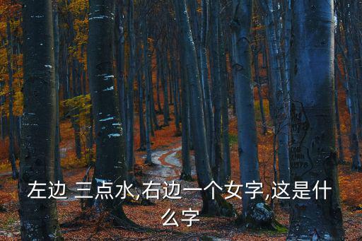 左邊 三點水,右邊一個女字,這是什么字
