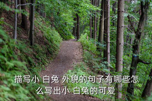 小白兔的外貌描寫