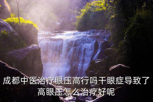 成都市中醫(yī)院劉景明，看中醫(yī)的 老醫(yī)生
