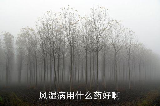 風濕病用什么藥好啊