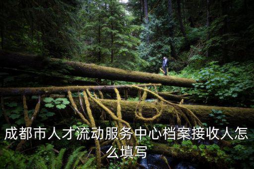 成都市人才流動(dòng)服務(wù)中心檔案接收人怎么填寫