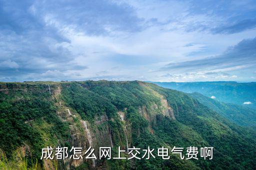 成都怎么網(wǎng)上交水電氣費啊