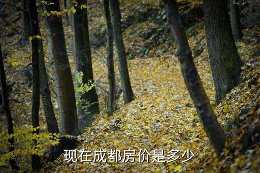 現(xiàn)在成都房價是多少