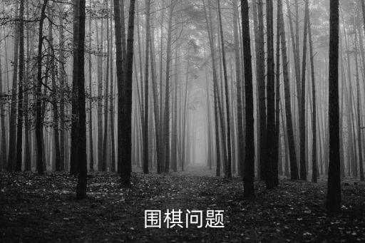  圍棋問題