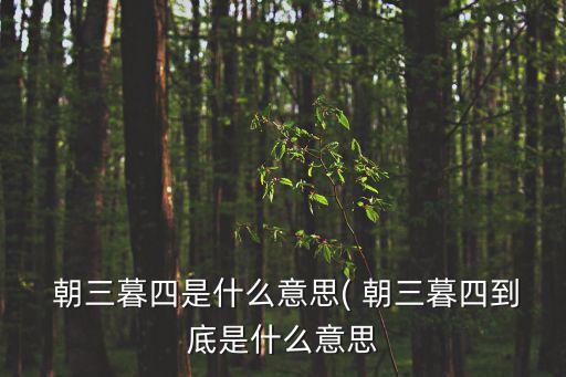 朝三暮四是什么意思,朝三暮四"出自莊子駁斥君主論