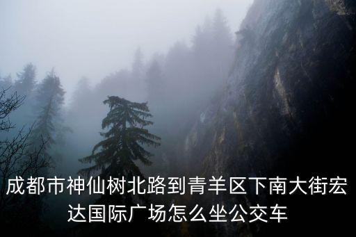 成都市萬年場到青羊區下南大街，成都市神仙樹北路到青羊區下南大街宏達國際廣場怎么坐公交車