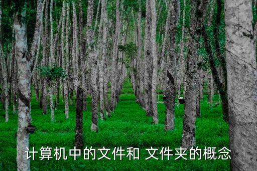 計(jì)算機(jī)中的文件和 文件夾的概念