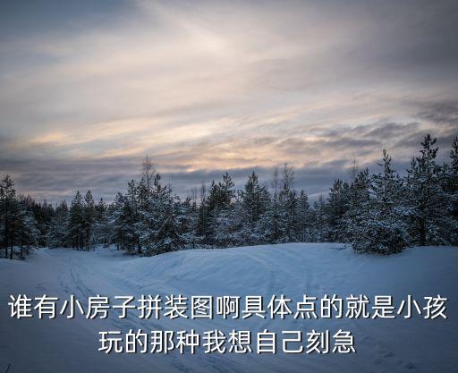 誰有小房子拼裝圖啊具體點的就是小孩玩的那種我想自己刻急